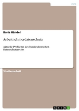 Arbeitnehmerdatenschutz - Boris H&auml;ndel
