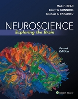Neuroscience - Bear, Mark F.; Connors, Barry W.; Paradiso, Michael A.