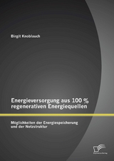 Energieversorgung aus 100 % regenerativen Energiequellen: M&ouml;glichkeiten der Energiespeicherung und der Netzstruktur - Birgit Knoblauch