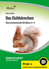 Das Eichh&ouml;rnchen - Mara Hasler