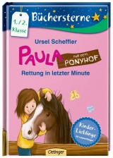 Paula auf dem Ponyhof. Rettung in letzter Minute - Ursel Scheffler