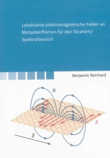 Lokalisierte elektromagnetische Felder an Metaoberfl&auml;chen f&uuml;r den Terahertz-Spektralbereich - Benjamin Reinhard