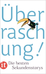&Uuml;berraschung! - 