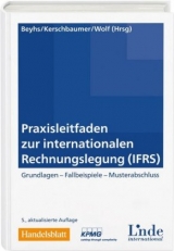 Praxisleitfaden zur internationalen Rechnungslegung (IFRS) - 