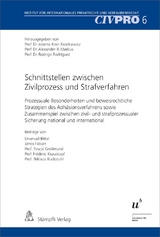 Schnittstellen zwischen Zivilprozess und Strafverfahren - Emanuel Bittel, J&aacute;nos F&aacute;bi&aacute;n, Pascal Grolimund, Fr&eacute;d&eacute;ric Krauskopf, Niklaus Ruckstuhl
