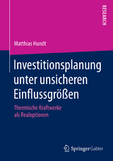 Investitionsplanung unter unsicheren Einflussgrößen - Matthias Hundt