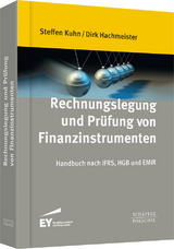 Rechnungslegung und Pr&uuml;fung von Finanzinstrumenten - Steffen Kuhn, Dirk Hachmeister