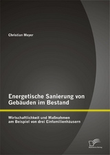 Energetische Sanierung von Geb&auml;uden im Bestand: Wirtschaftlichkeit und Ma&szlig;nahmen am Beispiel von drei Einfamilienh&auml;usern - Christian Meyer