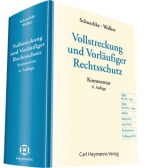 Vollstreckung und Vorl&auml;ufiger Rechtsschutz - 