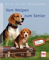 Vom Welpen zum Senior - Sophie Strodtbeck