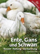 Ente, Gans und Schwan - Alexandra Vogel-Reich
