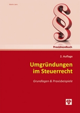 Umgr&uuml;ndungen im Steuerrecht 2. Auflage - Martin Jann