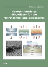 Nanostrukturierte SiO2-Gl&auml;ser f&uuml;r die Mikrotechnik und Biosensorik - Katharina Lilienthal