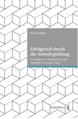 Erfolgreich durch die Anwaltspr&uuml;fung - David Br&auml;ndle