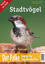 Der Falke - Sonderheft Stadtv&ouml;gel