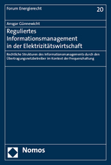 Reguliertes Informationsmanagement in der Elektrizit&auml;tswirtschaft - Ansgar G&uuml;nnewicht