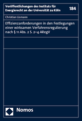 Effizienzanforderungen in den Festlegungen einer wirksamen Verfahrensregulierung nach &sect; 11 Abs. 2 S. 2-4 ARegV - Christian Lismann