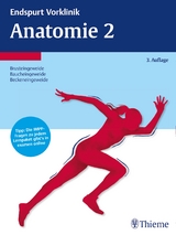 Endspurt Vorklinik: Anatomie 2