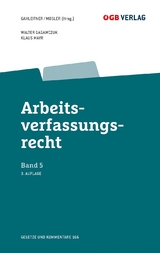 Arbeitsverfassungsrecht Bd 5 - Walter Gagawczuk, Klaus Mayr