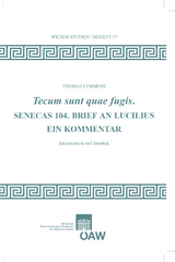 Tecum sunt quae fugis. Senecas 104. Brief an Lucilius - Thomas Lemmens