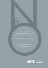 Untersuchung der Wechselwirkung von NO und Ru&szlig; in laminaren, ru&szlig;enden Vormischflammen - Nicole Ebersohl