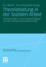 Theoriebildung in der Sozialen Arbeit - 