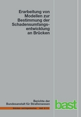 Erarbeitung von Modellen zur Bestimmung der Schadensumfangsentwicklung an Br&uuml;cken - Stephan M&uuml;ller