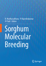 Sorghum Molecular Breeding - 