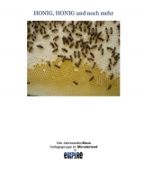 Honig, Honig und noch mehr - Ingeborg Bauer