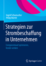 Strategien zur Strombeschaffung in Unternehmen - Ingrid Schumacher, Philip W&uuml;rfel