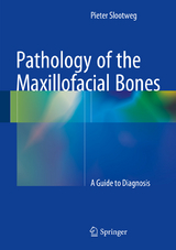 Pathology of the Maxillofacial Bones - Pieter Slootweg