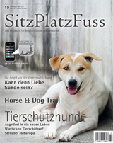 SitzPlatzfuss, Ausgabe 19 - 