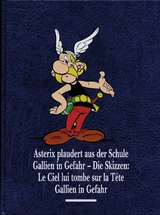 Asterix Gesamtausgabe 12 - Ren&eacute; Goscinny, Albert Uderzo, Michael F. Walz