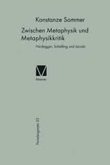 Zwischen Metaphysik und Metaphysikkritik - Konstanze Sommer