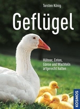 Gefl&uuml;gel - Dr. Torsten K&ouml;nig
