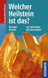Welcher Heilstein ist das? - Michael Gienger, Bernhard Bruder