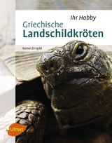 Griechische Landschildkr&ouml;ten - Rainer Zirngibl
