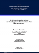 Dreidimensionale Darstellung der Herzklappeninsuffizienzen beim Pferd - Timurhan Tastutar