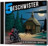 Im unterirdischen Labyrinth - Folge 14 - Tobias Schuffenhauer, Tobias Schier