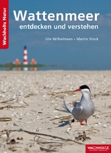 Wattenmeer entdecken und verstehen - Ute Wilhelmsen