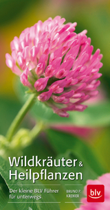 Wildkräuter & Heilpflanzen - Kremer, Bruno P.