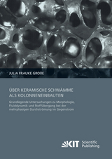 &Uuml;ber keramische Schw&auml;mme als Kolonneneinbauten : Grundlegende Untersuchungen zu Morphologie, Fluiddynamik und Stoff&uuml;bergang bei der mehrphasigen Durchstr&ouml;mung im Gegenstrom - Julia Gro&szlig;e