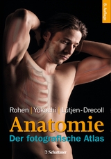 Anatomie - Johannes W. Rohen, Chihiro Yokochi, Elke L&uuml;tjen-Drecoll