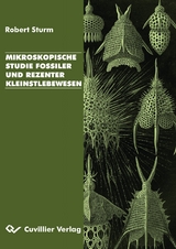Mikroskopische Studie fossiler und rezenter Kleinstlebewesen - Robert Sturm