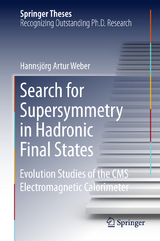 Search for Supersymmetry in Hadronic Final States - Hannsj&ouml;rg Artur Weber