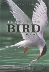 Icelandic Bird Guide: Appearance, Way of Life, Habitat - 