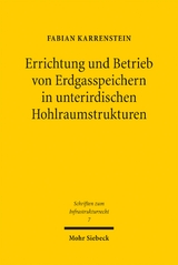 Errichtung und Betrieb von Erdgasspeichern in unterirdischen Hohlraumstrukturen - Fabian Karrenstein
