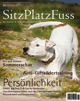 SitzPlatzFuss Ausgabe 20 - 
