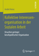 Kollektive Interessenorganisation in der Sozialen Arbeit - Andr&eacute; Heinz