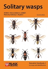Solitary wasps - Yeo, Peter F.; Corbet, Sarah
